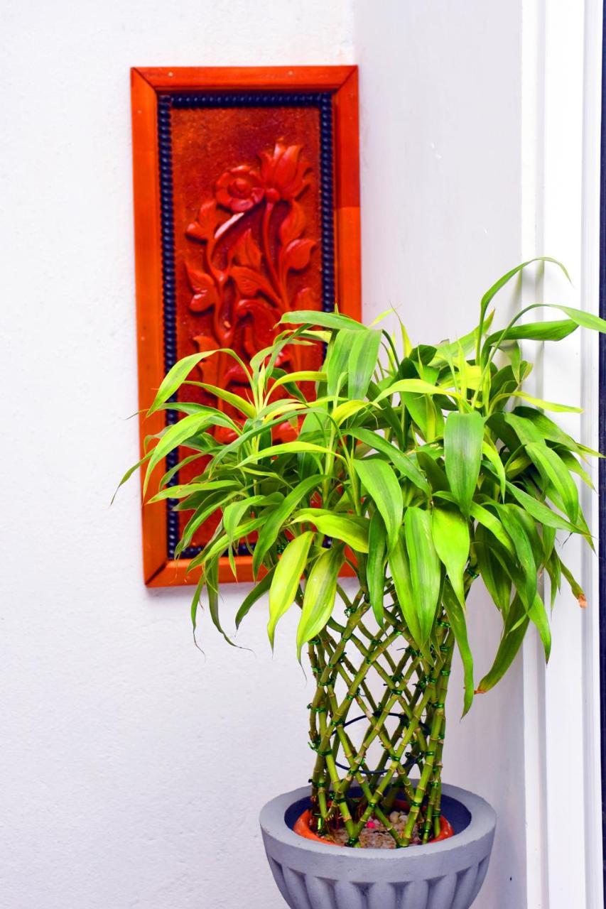 Indunil Place Hiriketiya Dikwella Ngoại thất bức ảnh